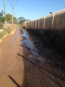 Il pantano di contrada Gaddimeli