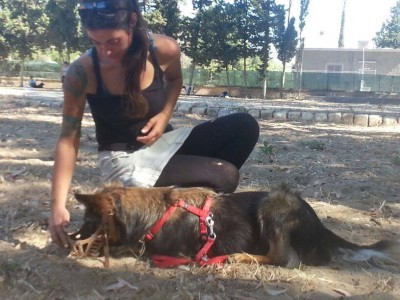 Serena Augello e il cane maestro Amanda