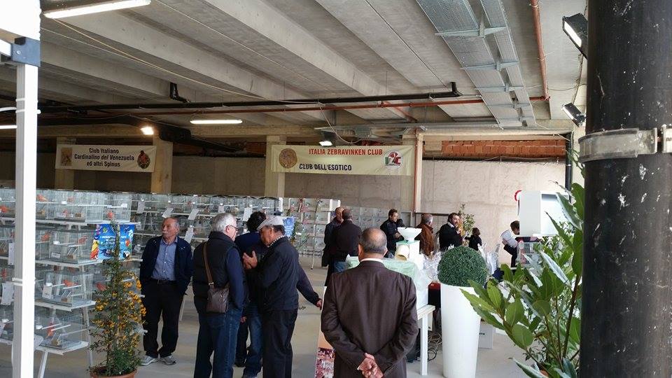 foto mostra ornitologica 2014 visite