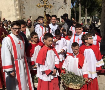 Settimana Santa 2016 i ministranti e i ramoscelli d'ulivo