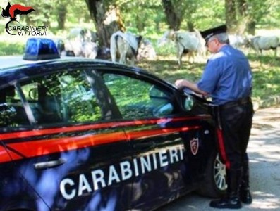 Vittoria (RG) Carabinieri pascolo abusivo 1