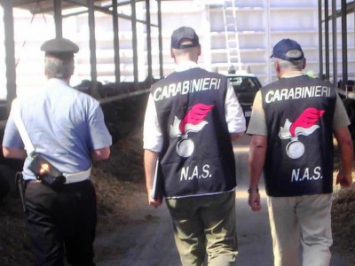 carabinieri-nas-latte-mucche