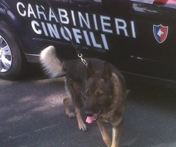 carabinieri_cinofili