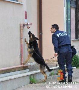 cane-polizia-stupefacenti-ragusa
