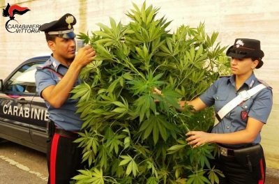 Chiaramonte Gulfi (RG) Carabinieri sequestro marijuana